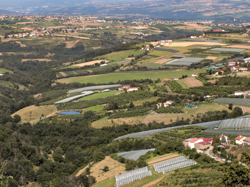 Monts du Lyonnais