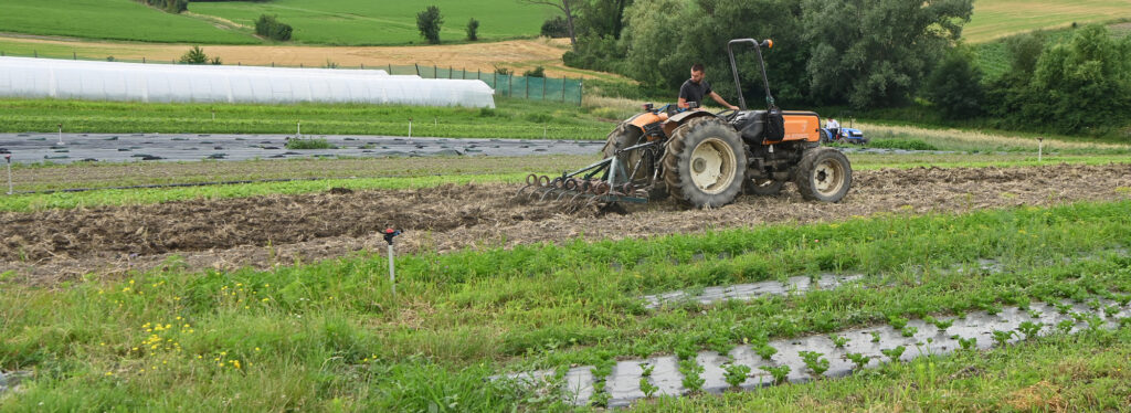 agriculture