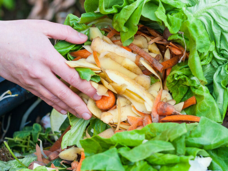 Déchets alimentaires