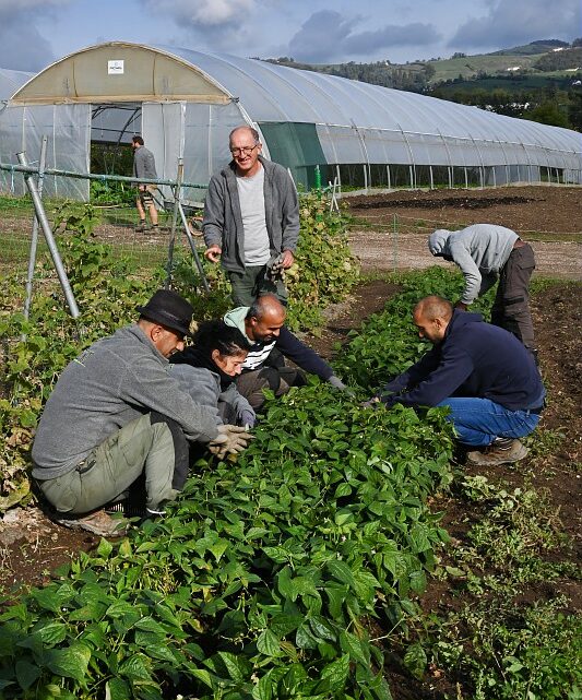 Maintenir l'agriculture locale à Saint-Étienne Métropole