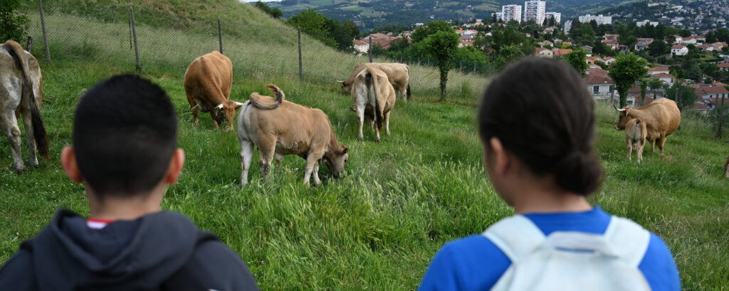 Visite d'une ferme - élèves de l'école de Cote-Chaude - PEEDD