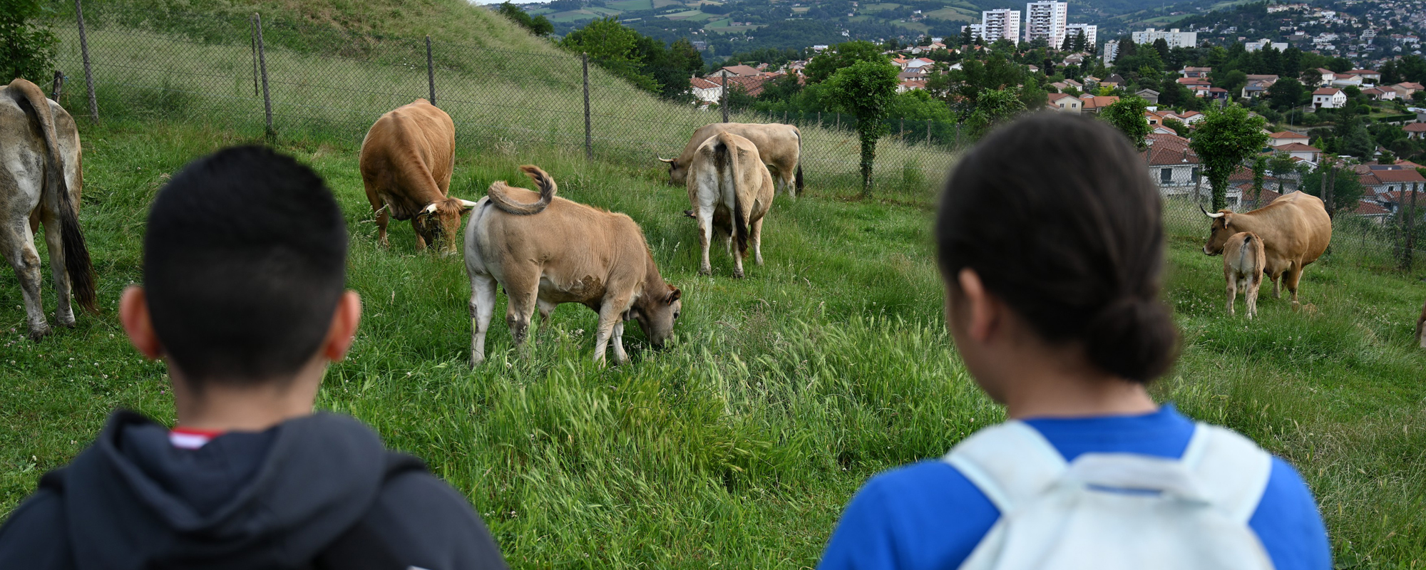 Visite d'une ferme - élèves de l'école de Cote-Chaude - PEEDD