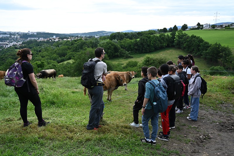 Visite d'une ferme - élèves de l'école de Cote-Chaude - PEEDD