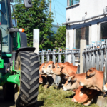 Agriculture