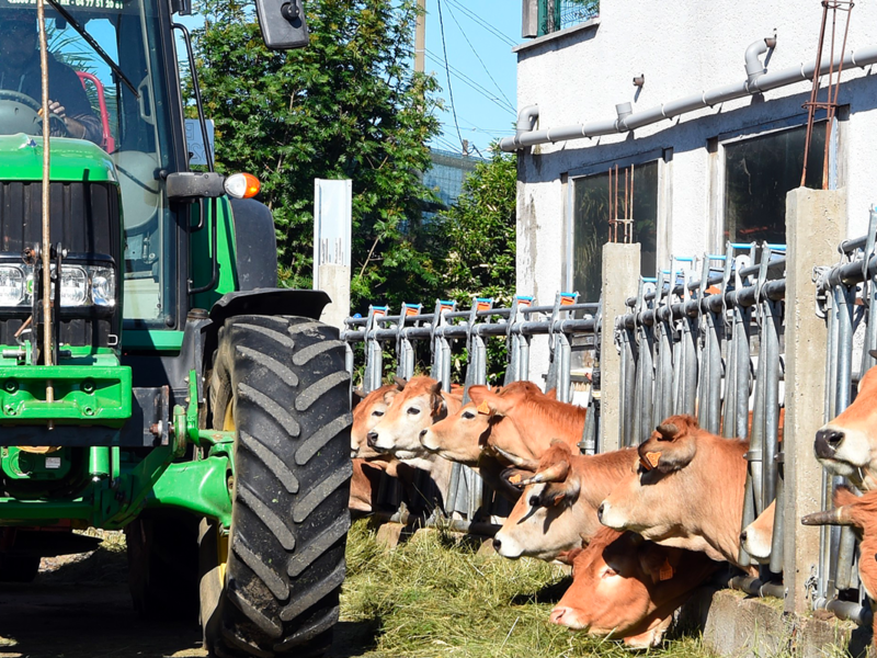 Agriculture