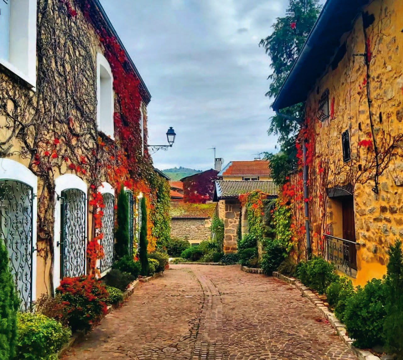 Saint-Victor-sur-Loire © jojo_le_touriste