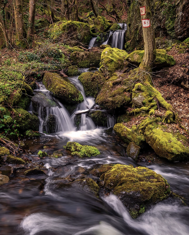 @florian_storyteller - Le Chambon-Feugerolles