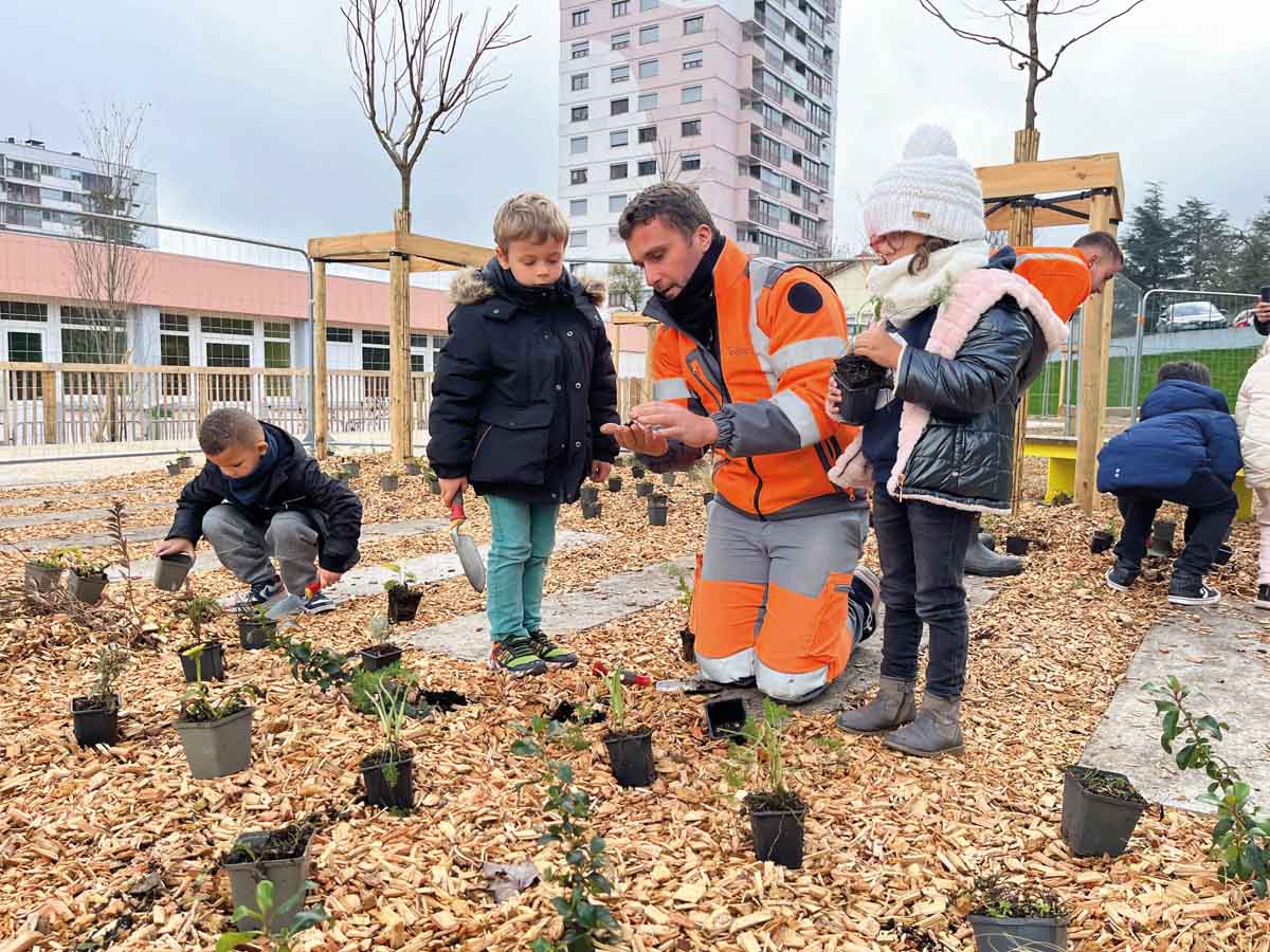 Plantation cours d'école élémentaire Jean Ravon - Villars
