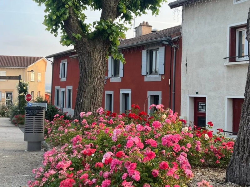 @Blandine Barriol - Chamboeuf