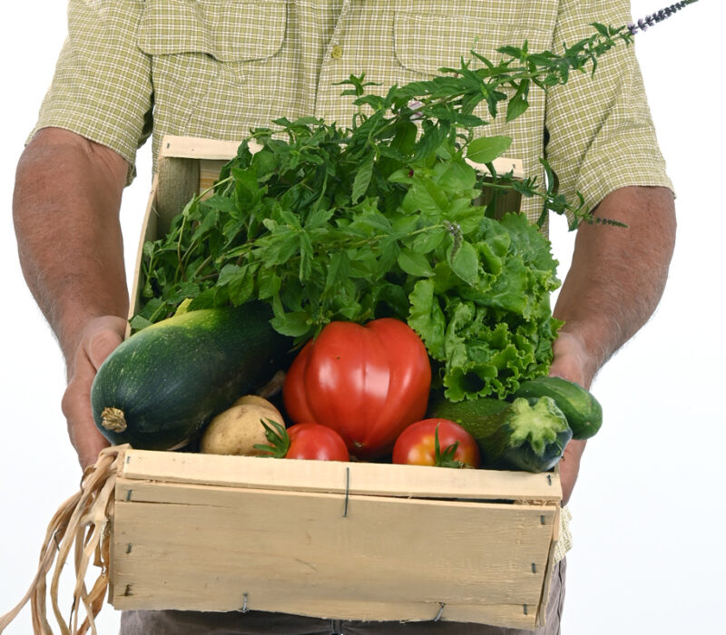 Caisse de légumes