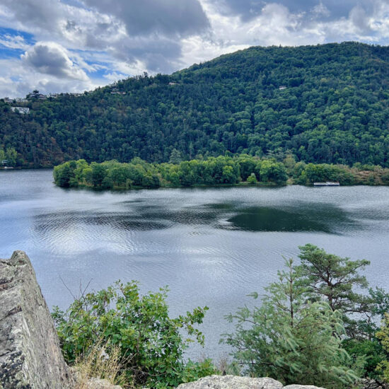 une chèvre et un large cours d'eau