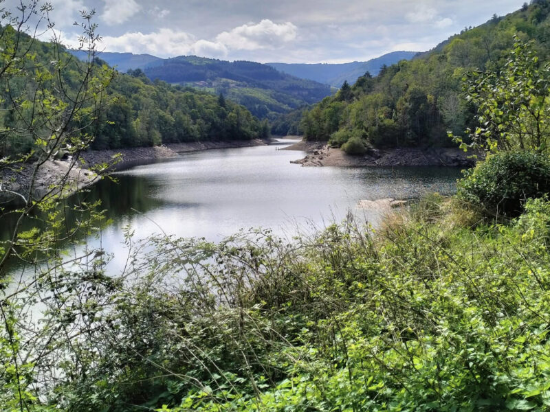 barrage et forêt autour