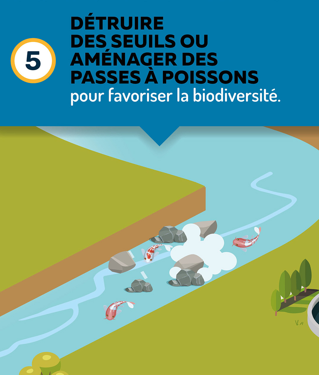 Détruire des seuils ou aménager des passes à poissons pour favoriser la biodiversité