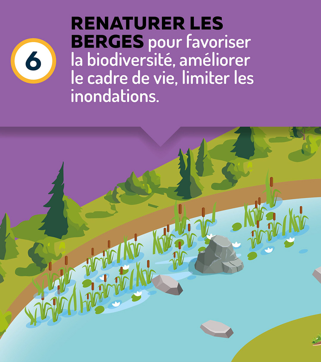 Renaturer les berges pour favoriser la biodiversité, améliorer le cadre de vie, limiter les inondations