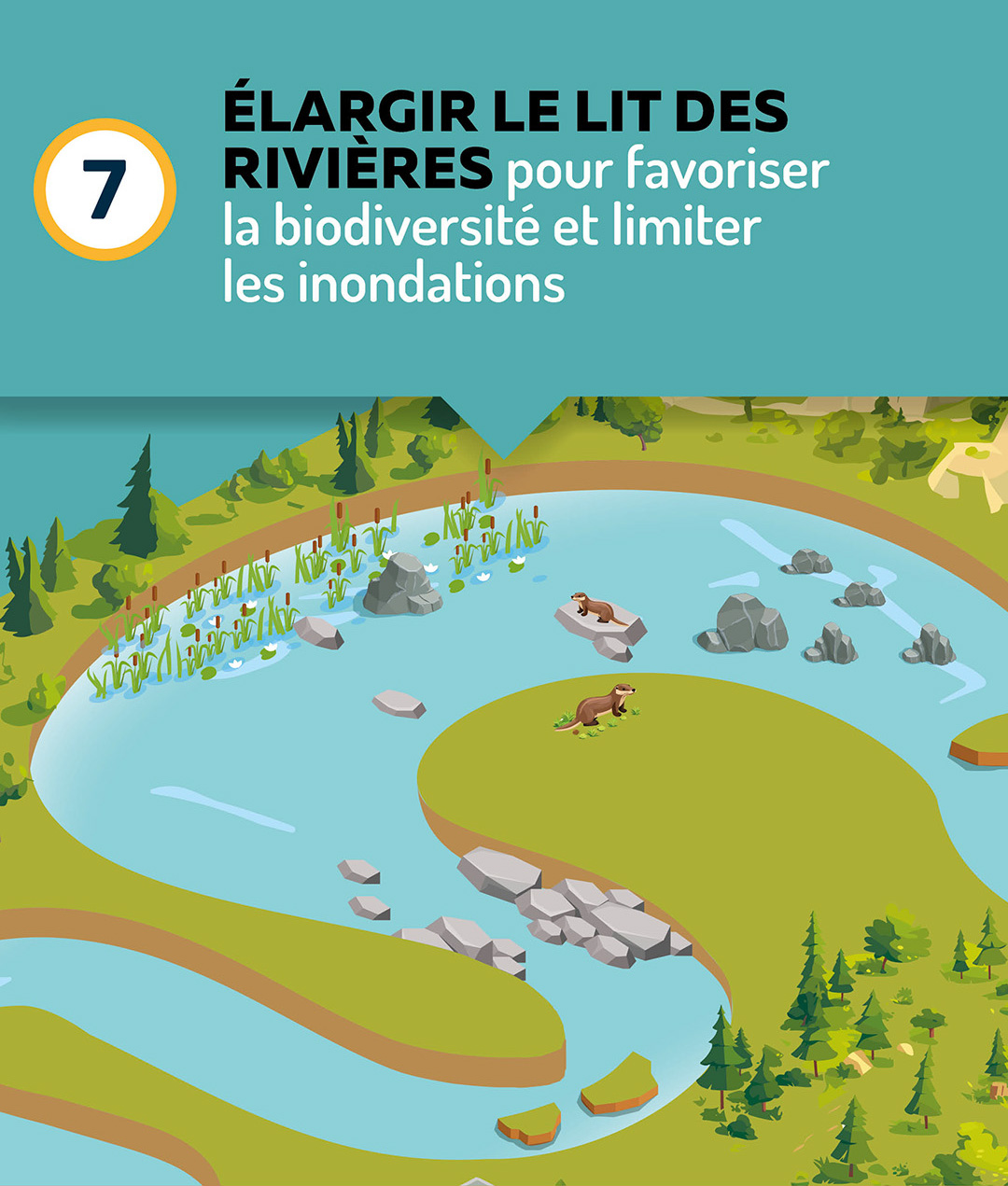 Elargir le lit des rivières pour favoriser la biodiversité et limiter les inondations