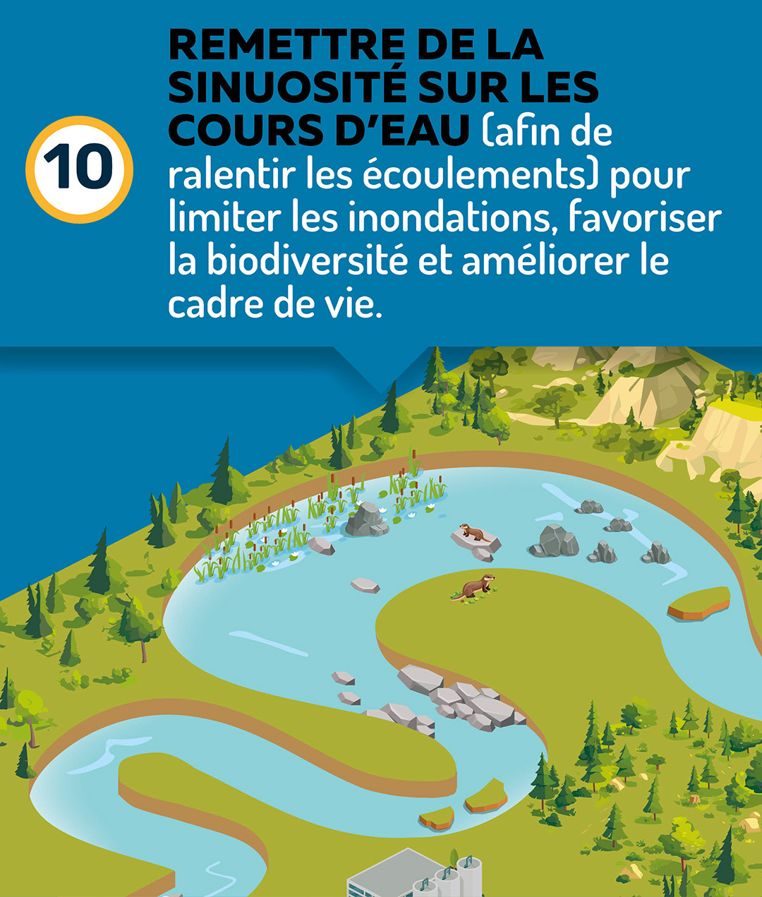 Remettre de la sinuosité sur les cours d'eau (afin de ralentir les écoulements) pour limiter les inondations, favoriser la biodiversité et améliorer le cadre de vie