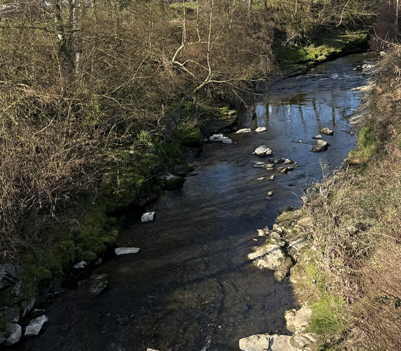 Cours d'eau Furan