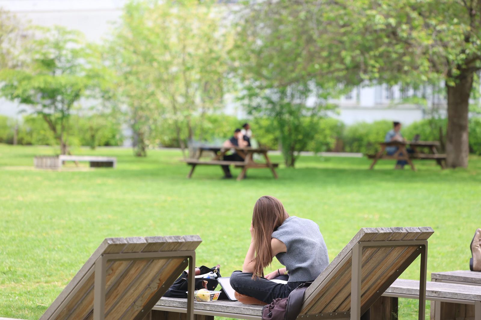 parc avec pelouse et mobilier en bois