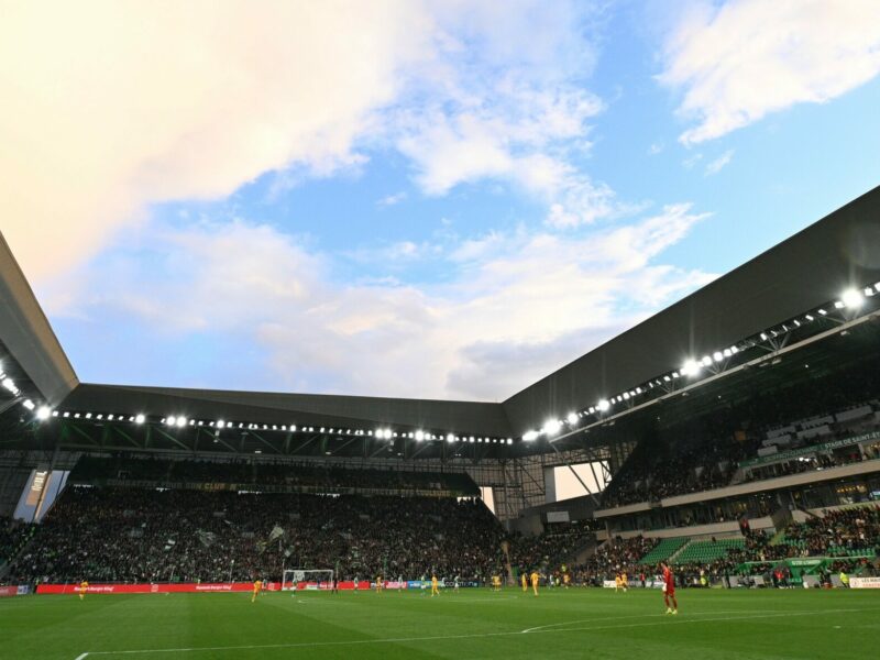 pelouse-geoffroy-guichard