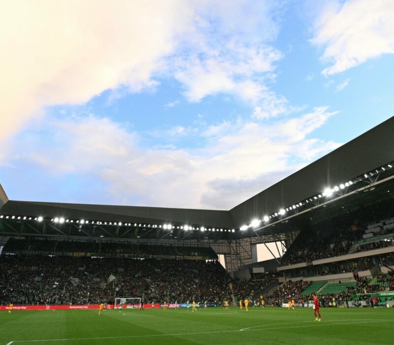 pelouse-geoffroy-guichard