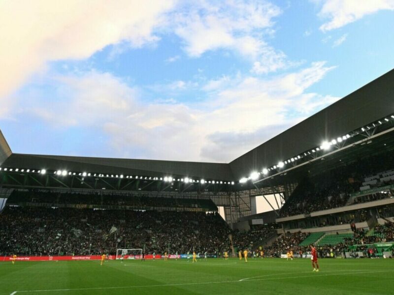 pelouse-geoffroy-guichard