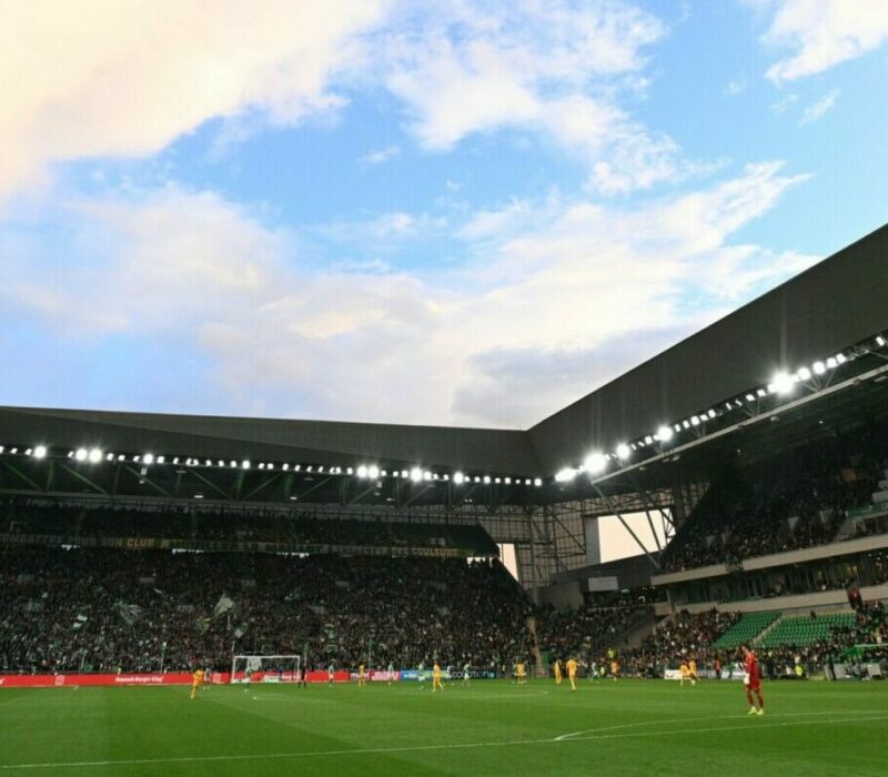 pelouse-geoffroy-guichard