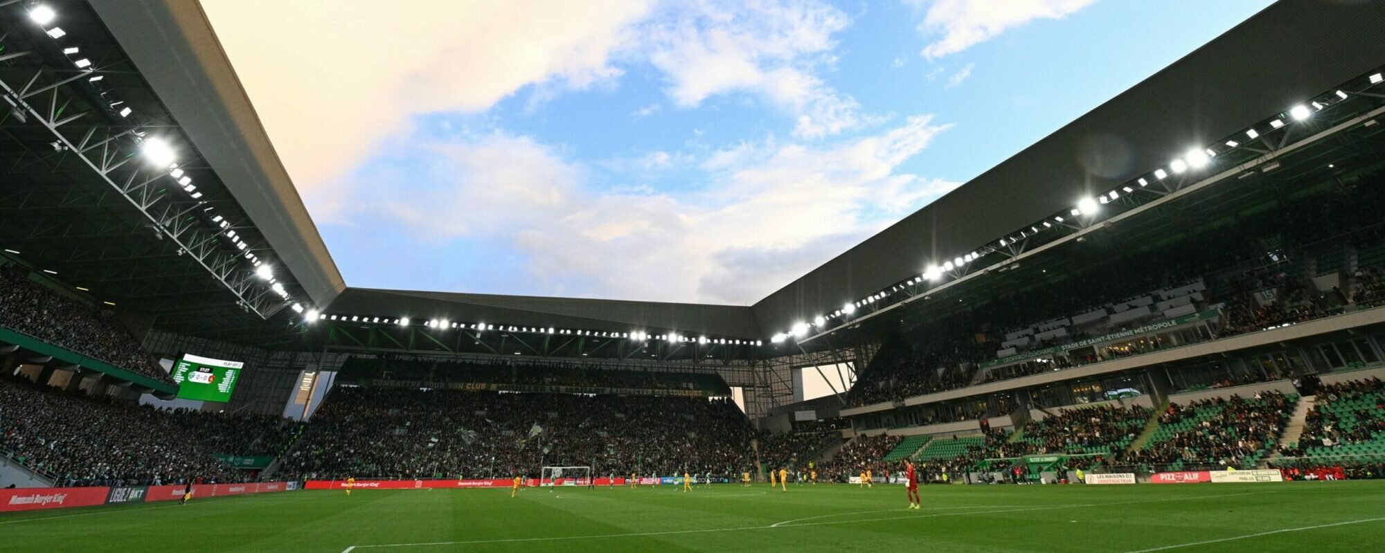 pelouse-geoffroy-guichard