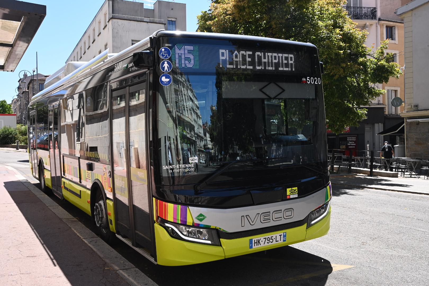bus