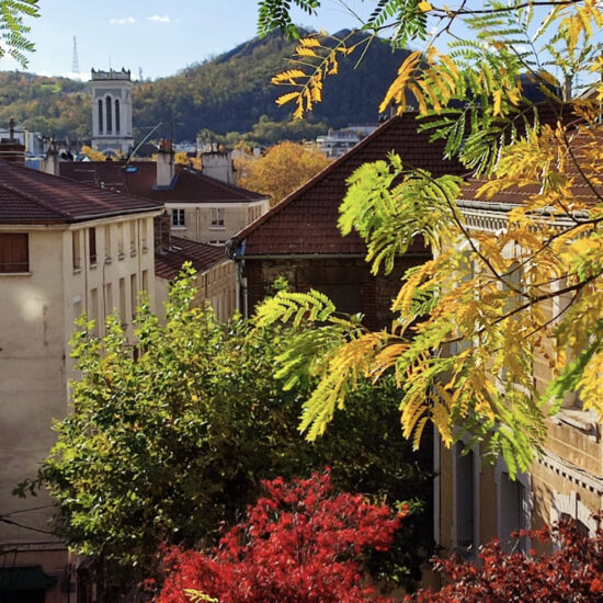 Arbre , habitat et clocher de cathédrale