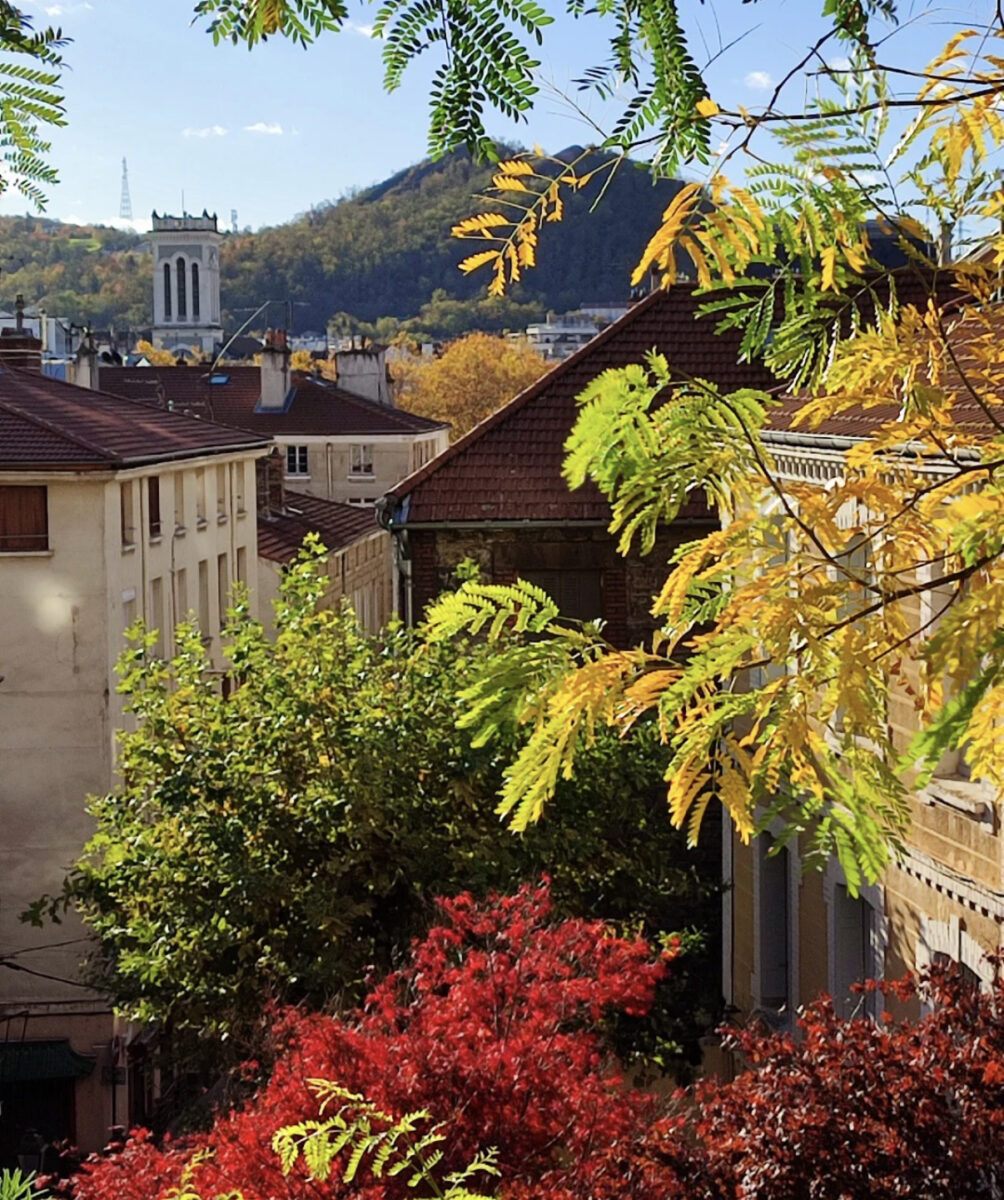Arbre , habitat et clocher de cathédrale