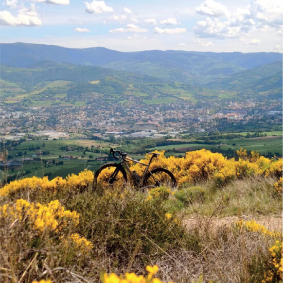 vélo au milieu des fougères et vue sur une ville