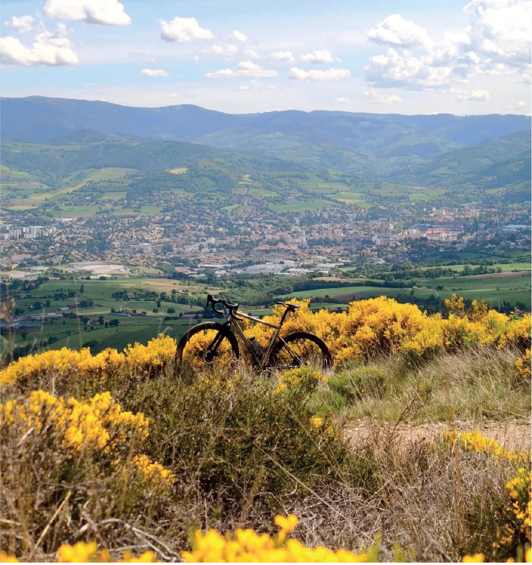 vélo au milieu des fougères et vue sur une ville