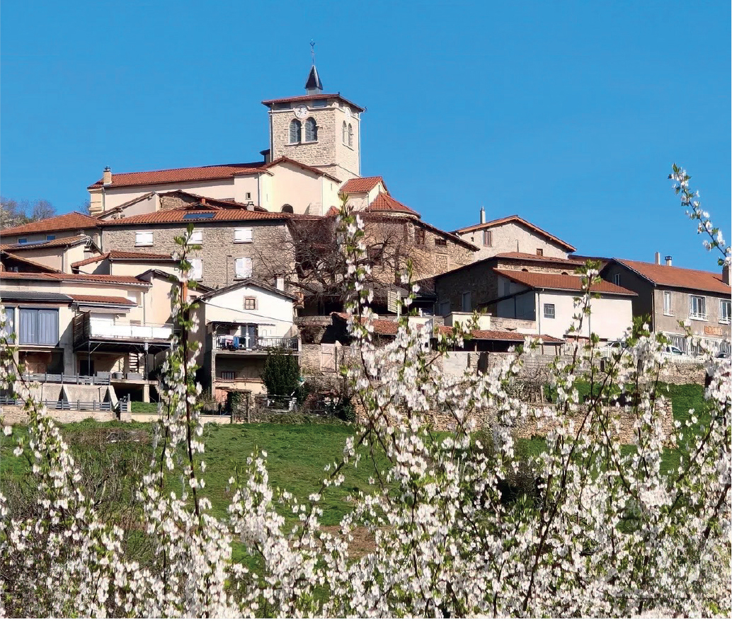 cerisier et bourg de village avec son clocher