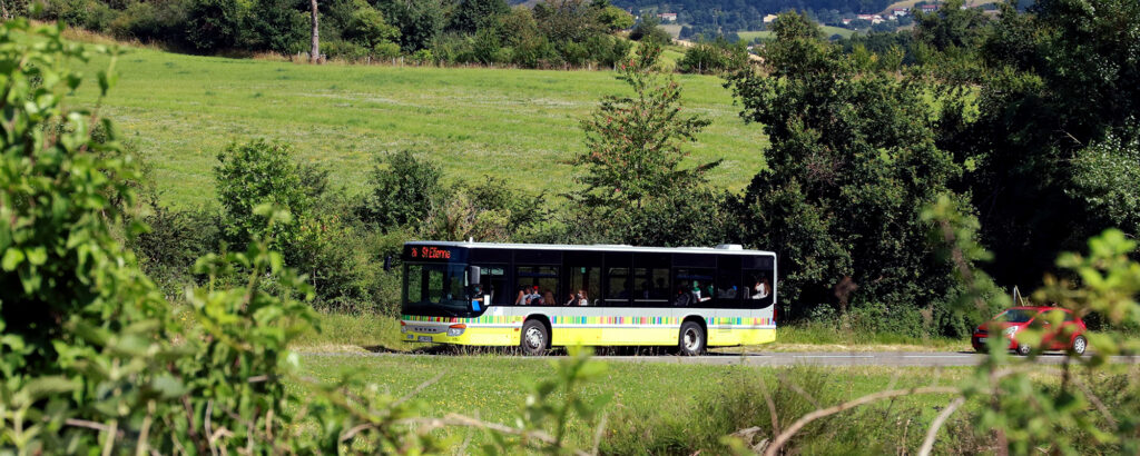 bus