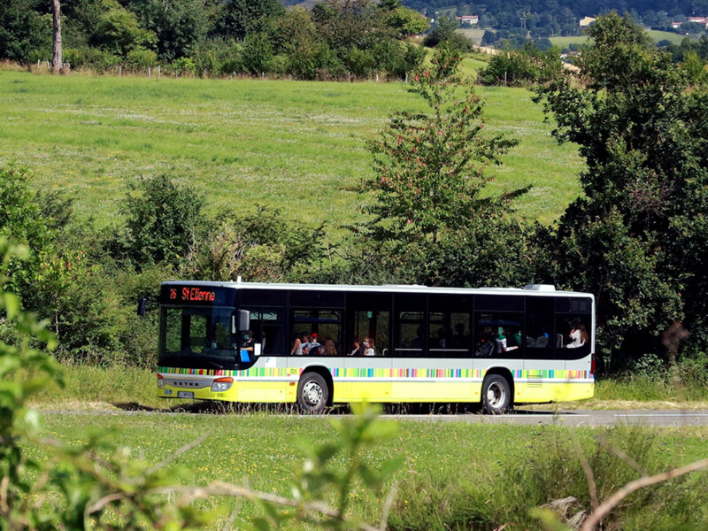 bus