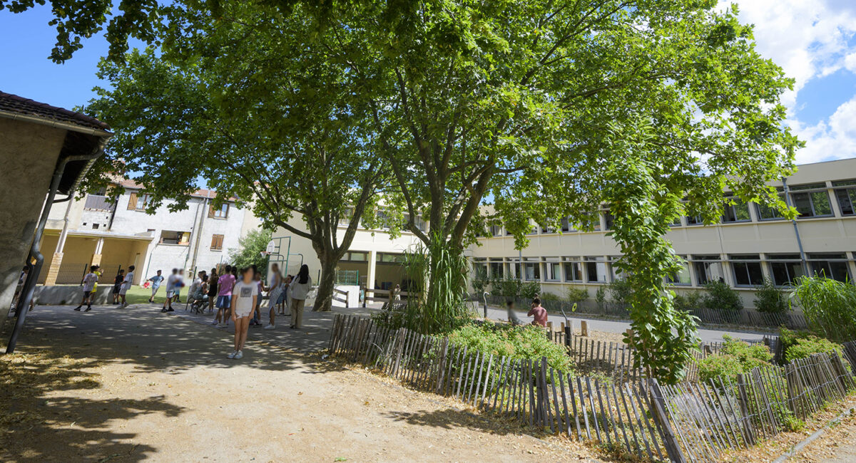cours d'école végétalisée