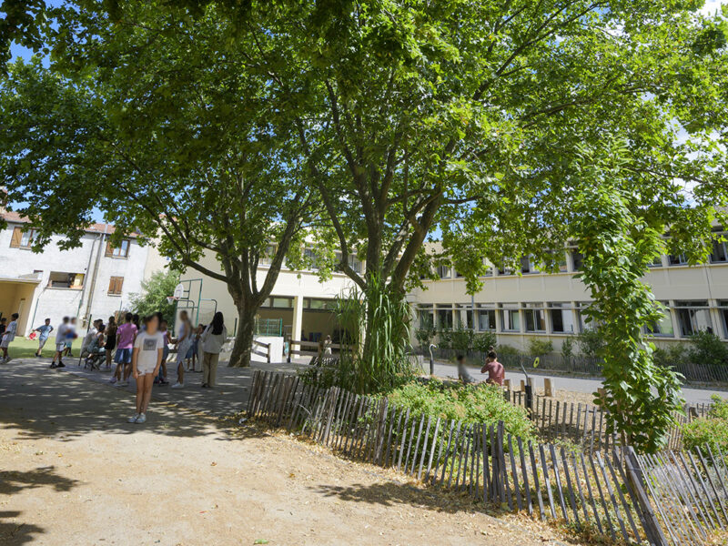 cours d'école végétalisée