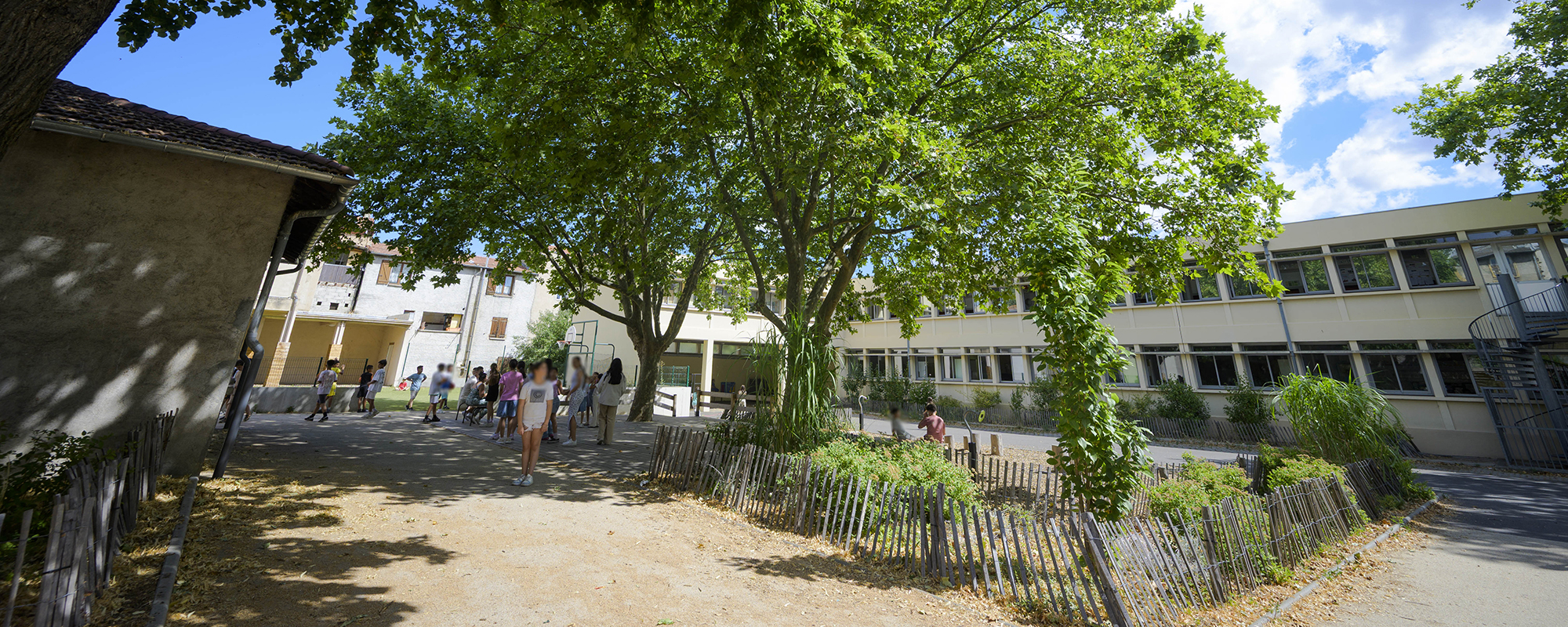 cours d'école végétalisée