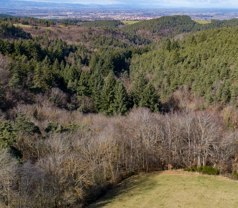 Foret - vue du ciel