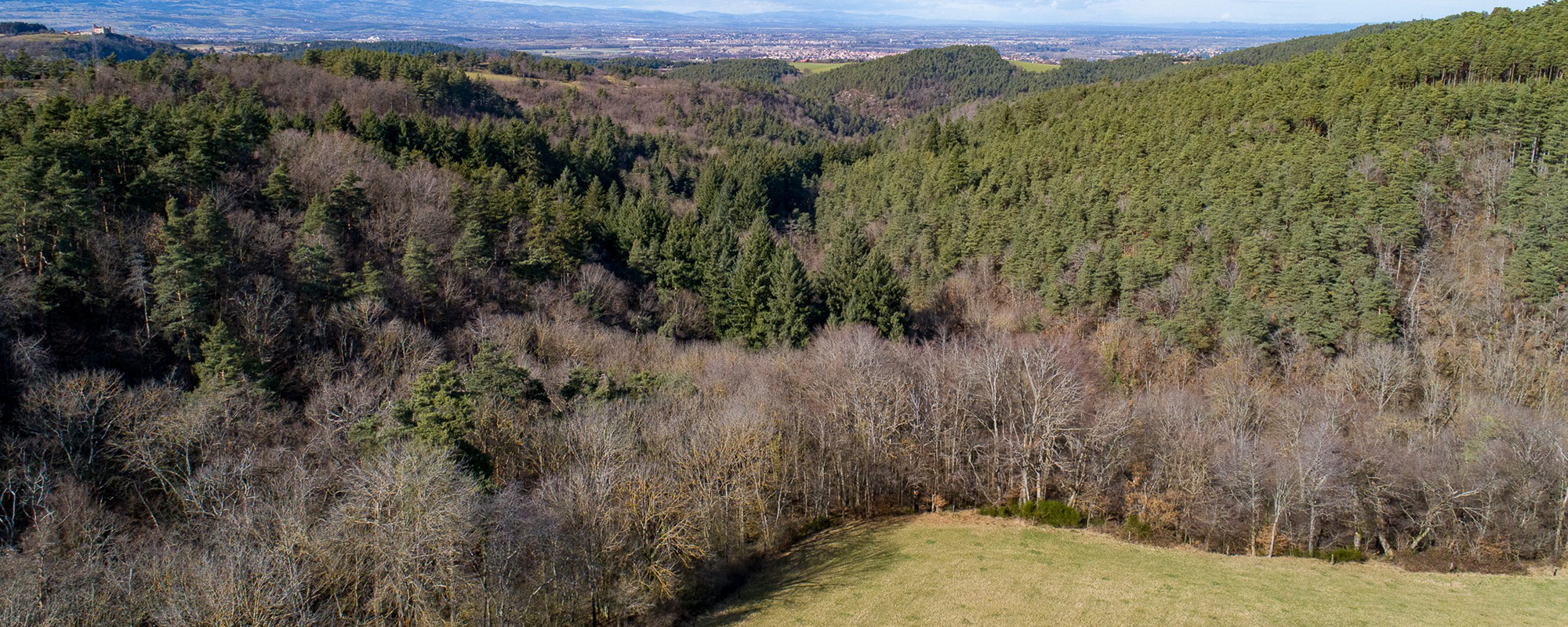 Foret - vue du ciel