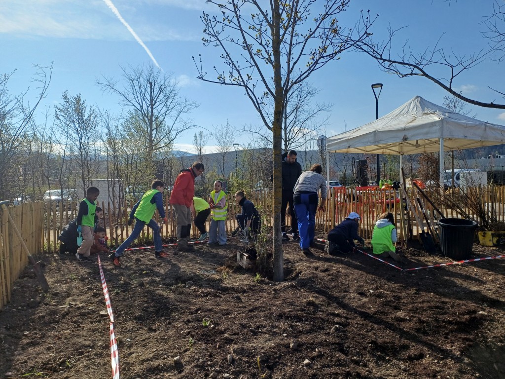 Plantation d'une microforêt